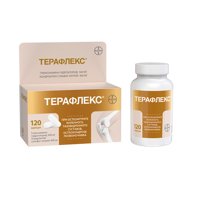 Терафлекс капсулы 500мг 400мг флакон №120